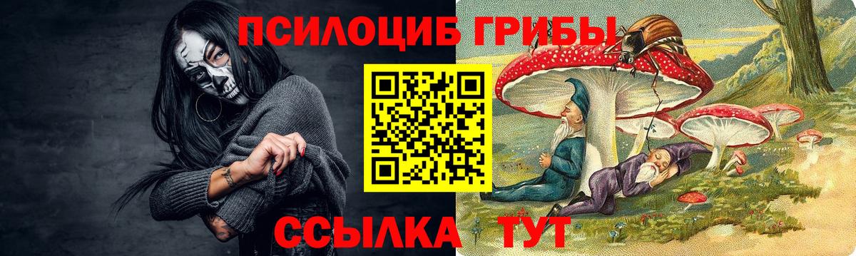 Коммунар  Псилоцибиновые грибы ЛСД  Вход с VPN 