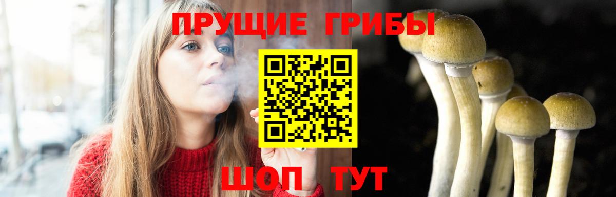 Псилоцибиновые грибы GOLDEN TEACHER Коммунар